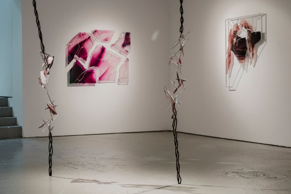 Installation view of Mending Shards 2024. Photo courtesy of Ryan Van Der Hout.