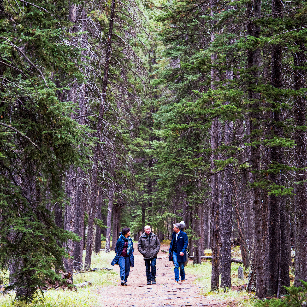 Gryphon Trio walks through a forest trail. 