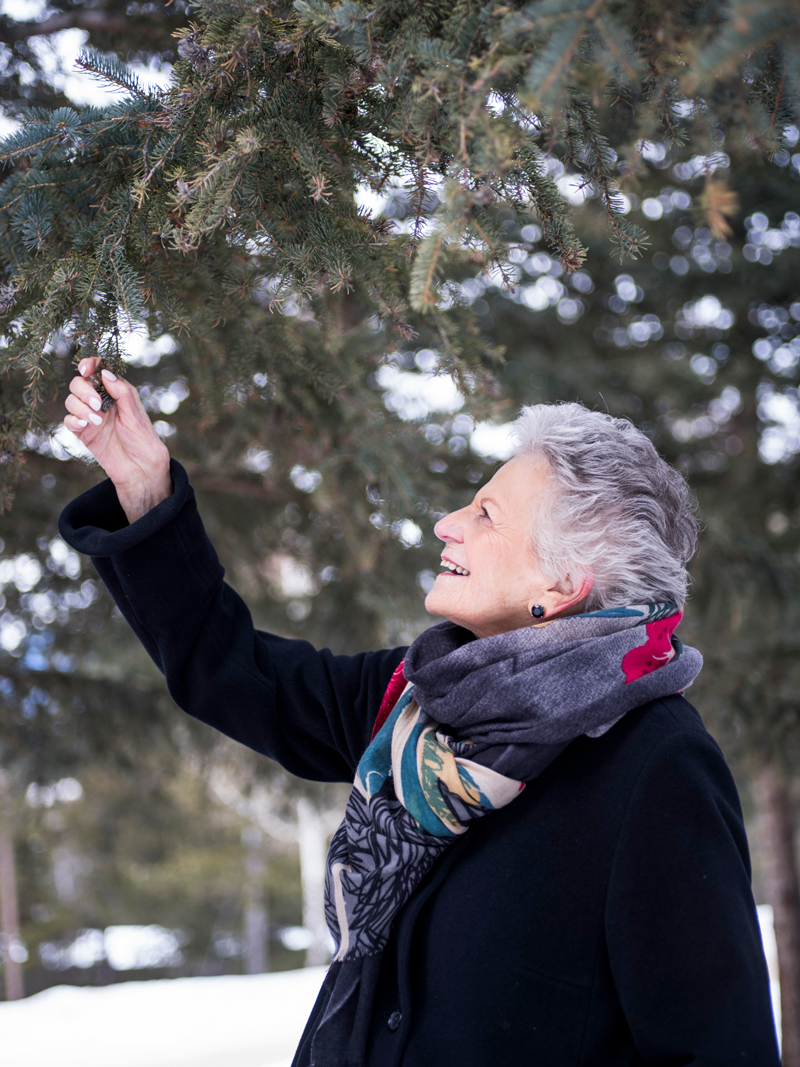Banff Centre donor grabbing a pine tree. 