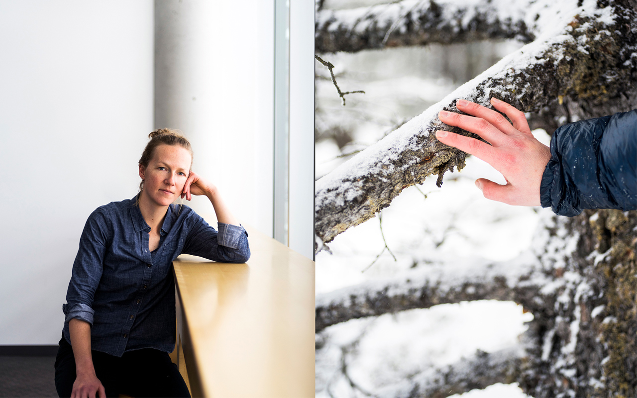 Images of Kate Harris sitting inside and outside brushing a tree. 