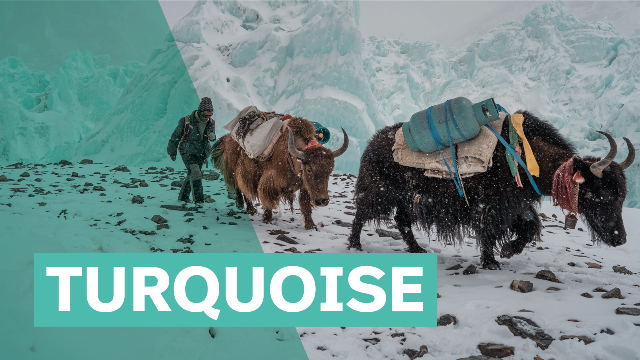 2020-21 Banff Mountain Film Festival World Tour Turquoise Program