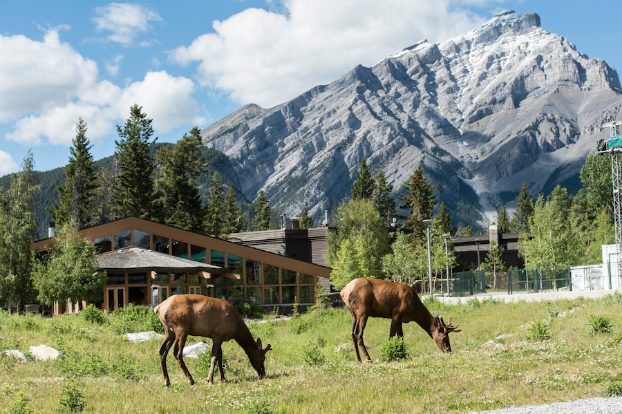 Banff Centre Campus. Photo by Donald Lee.