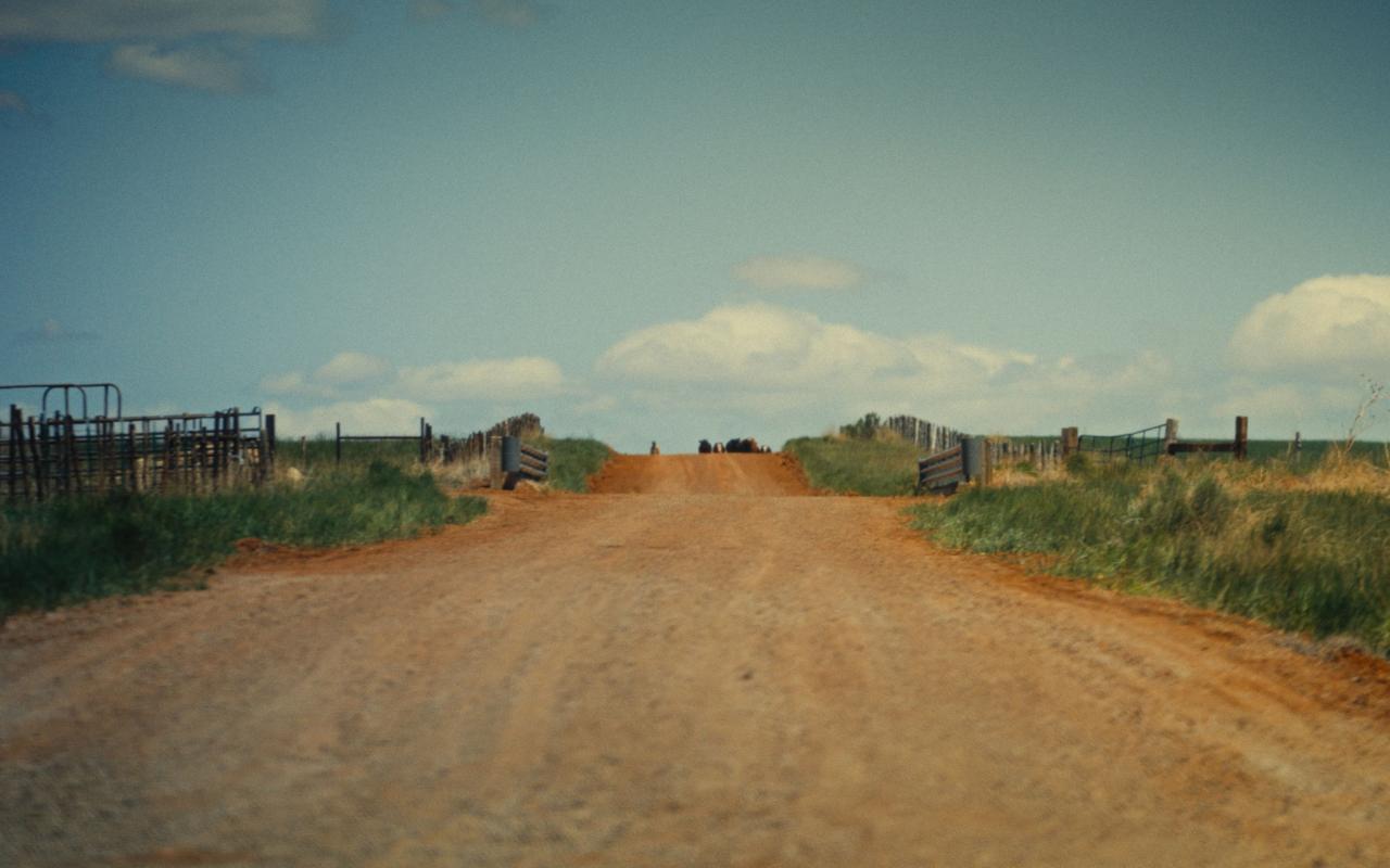 From the film A Brutal, Beautiful Life