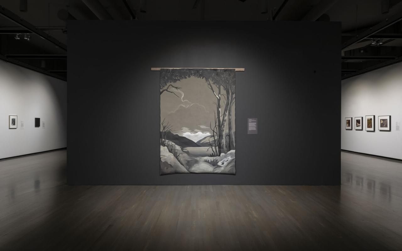 Installation view of Facing Photographs, Walter Phillips Gallery