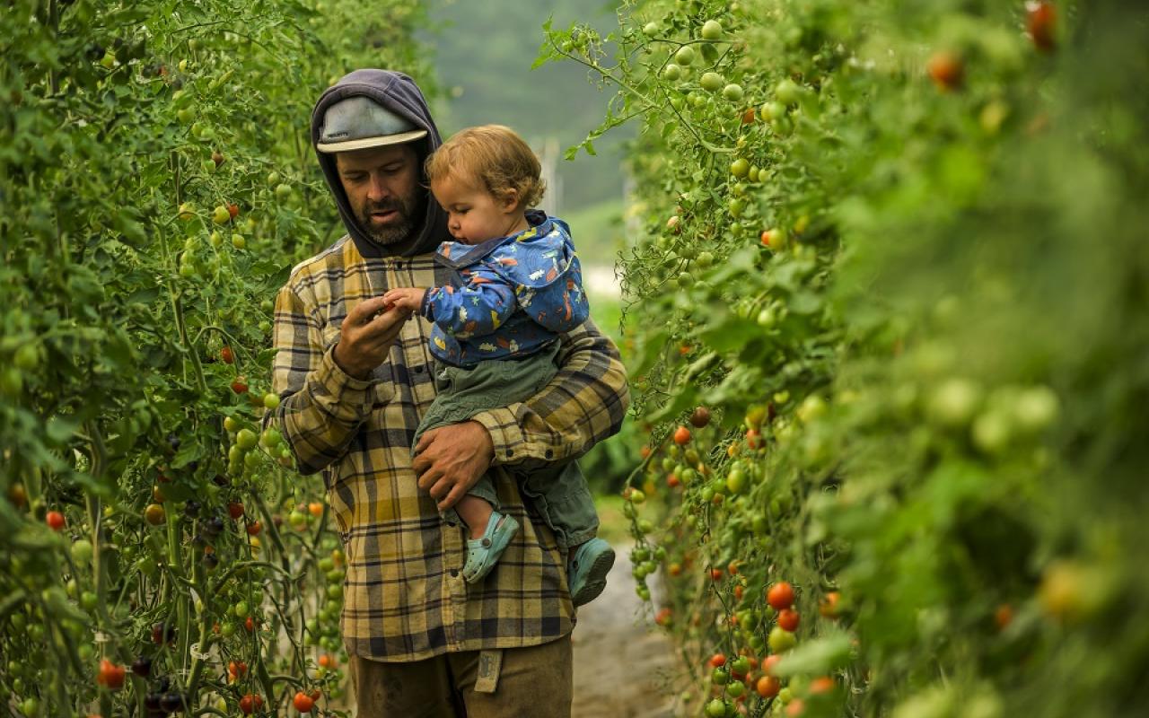 From the film Farming Turns