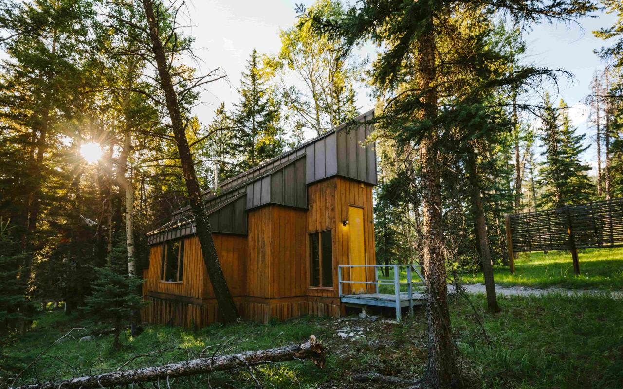 Studio in the forest