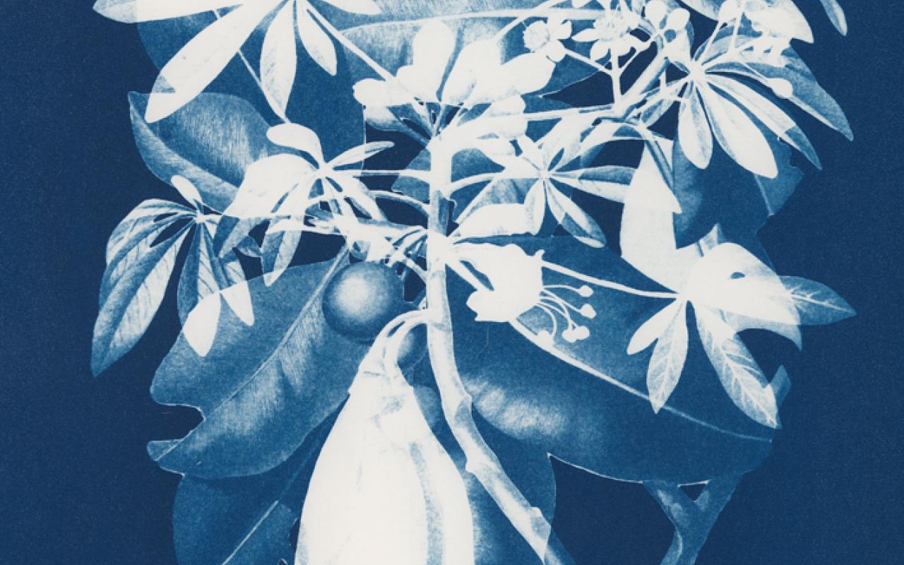 'Herbarium (after Flora de Filipinas)' (series) by Karen Zalamea