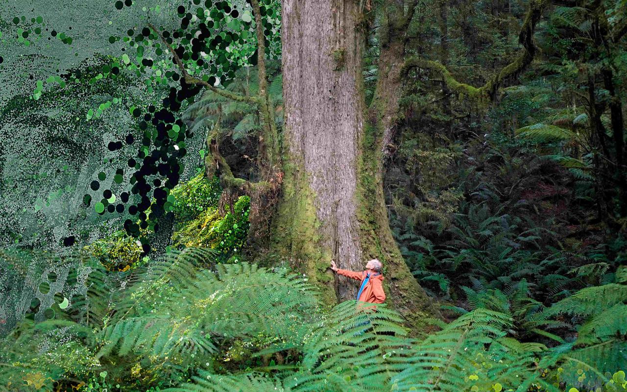 From the film The Giants