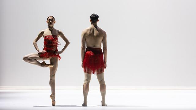 Image of ballet dancers from Ballet Edmonton's performance of Meteorite.