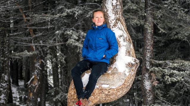 Kate Harris sits in a snow covered tree. 