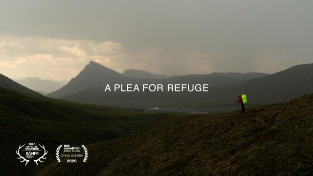 A PLEA FOR REFUGE