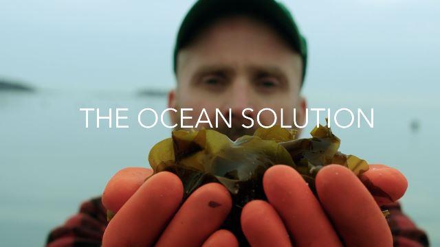 From the film The Ocean Solution