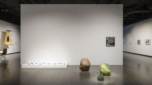 Installation view of Elliptical Lineages, Walter Phillips Gallery, Banff Centre for Arts and Creativity, 2025. Photo: Rita Taylor.