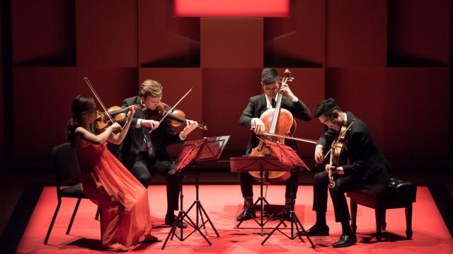 The Rolston String Quartet: Photo credit MISQA Marie Pierre Tremblay