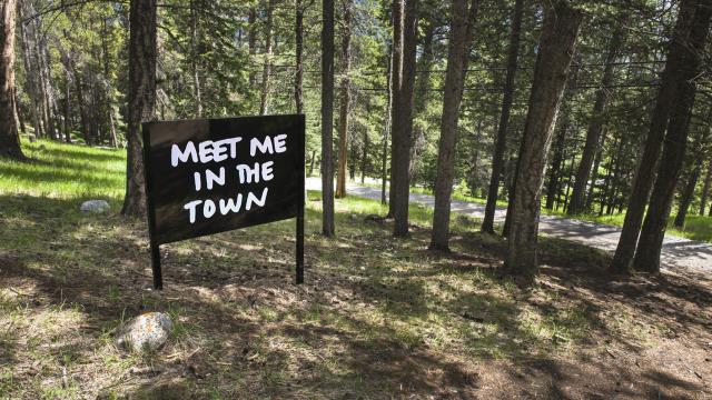 August Klintberg, Meet me in the woods, 2010. Coated aluminum and reflective vinyl signs in two locations: Glyde Hall & 