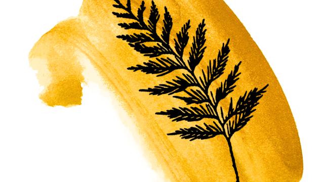 Ink & Ochre