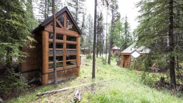 Unique artist studios in a forested area on campus