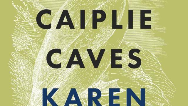 Book Cover for the novel The Caiplie Caves, from author Karen Solies