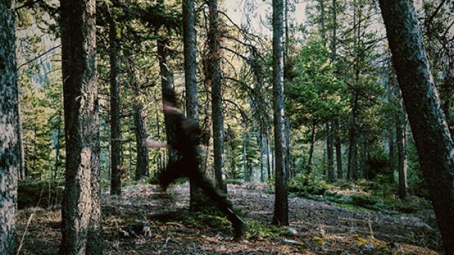 Image of Scott Silven walking through the woods