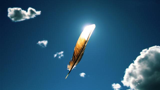 Feather floating through sky