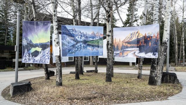 2024 BMFBF Photo Exhibit