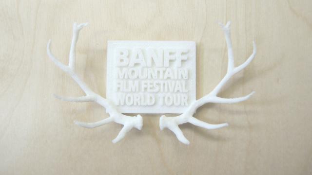 3D-printed mini-model of the award