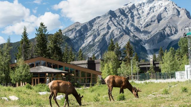 Banff Centre Campus. Photo by Donald Lee.