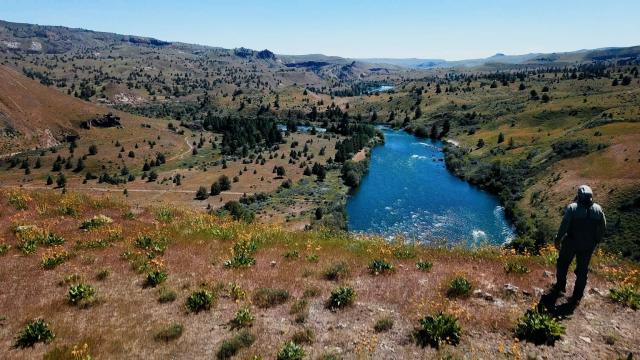 From the film The Hard Way