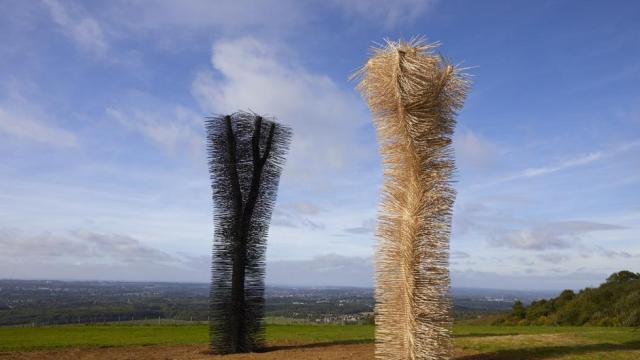 Ash to Ash by Ackroyd & Harvey, Commissioned though The Ash Project.
