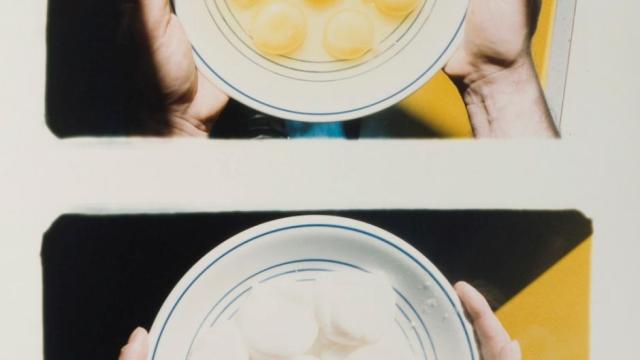 Barbara Spohr, "Diptych, Bowl of Eggs Raw then Cooked"