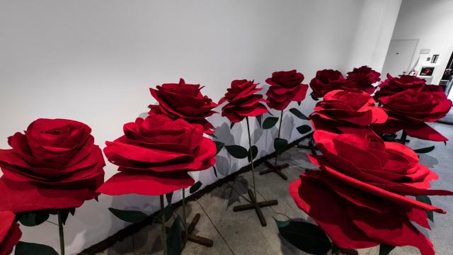 Installation view of Rita McKeoughs exhibition with red roses