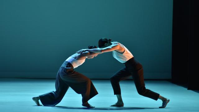 Dancers on stage holding each others arms and lunging toward each other