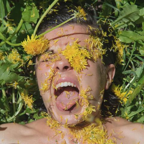 Laura lays in the grass, yellow dandelions are all over their face. They have their eyes closed and mouth open with tong
