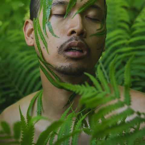 Matthew is in a fern like bush. There are fern leaves on their face, and they have their eyes closed. 