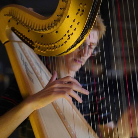 Stef Van Vynckt musician