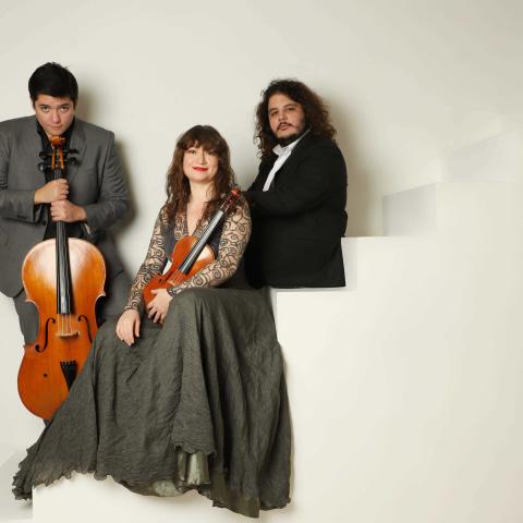 Members of Waldstein Trio in concert dress